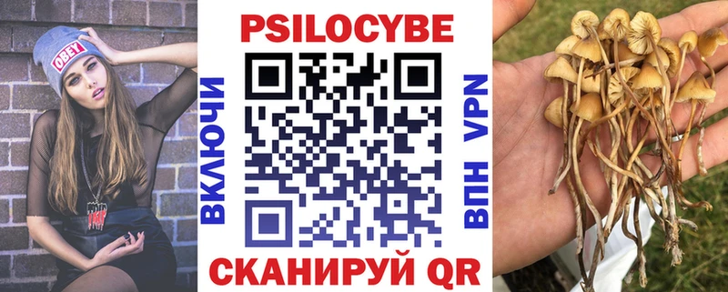 Галлюциногенные грибы Psilocybine cubensis гидра Приволжск
